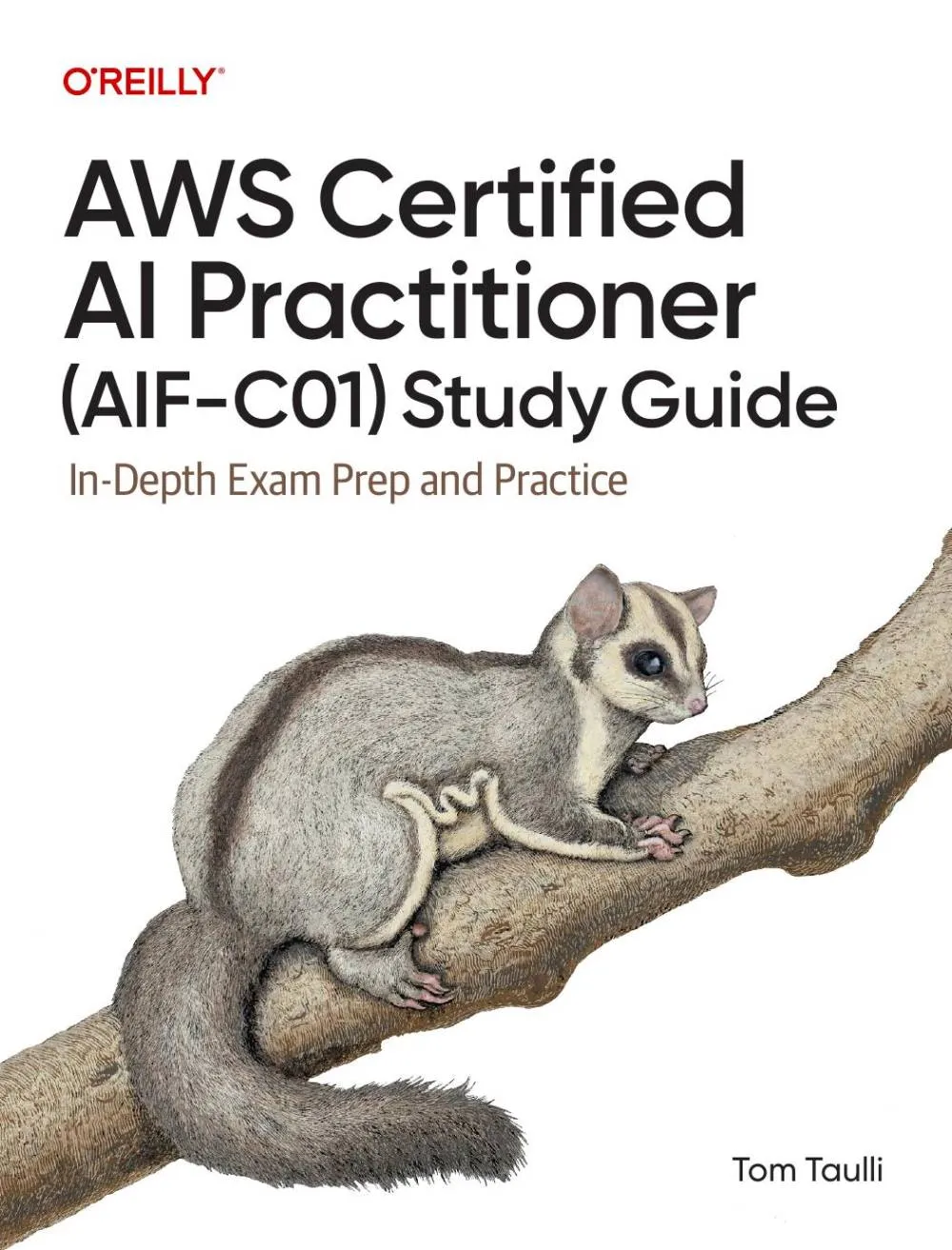 AWS Certified AI Practitioner (AIF-C01) Study Guide: A Book Review